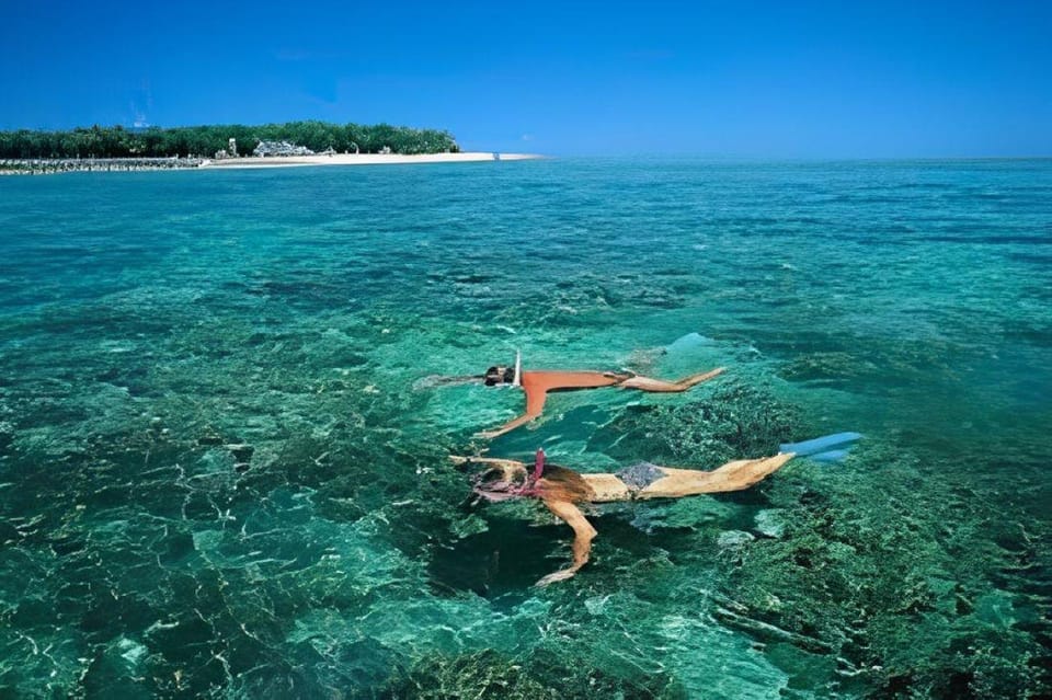 Cham Island Sightseeing & Snorkeling Excursion. - Transportation and Pickup