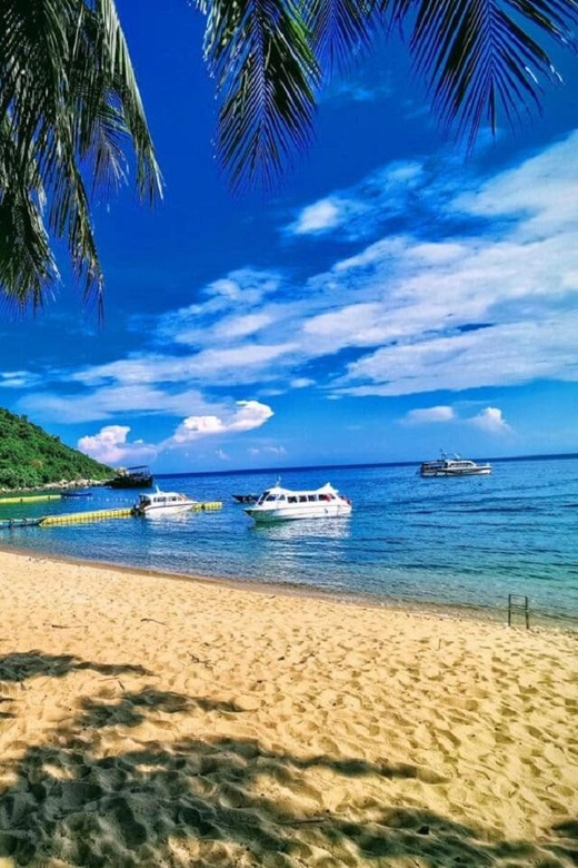 Cham Island: Snorkeling Experience From Danang - Health and Safety Restrictions