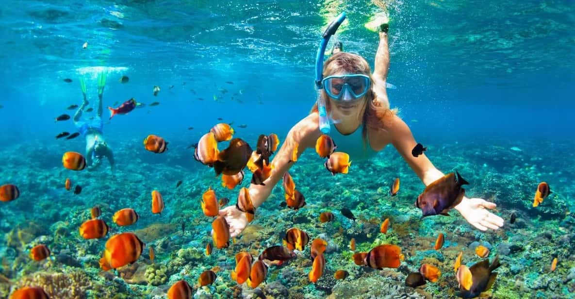 Cham Island Snorkeling Private Tour - Important Information