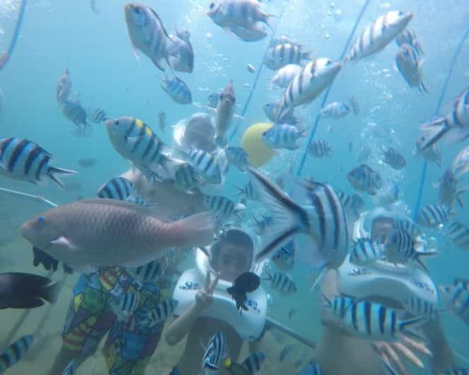 Cham Islands: Experience Underwater Snorkeling Excursion - Included Amenities