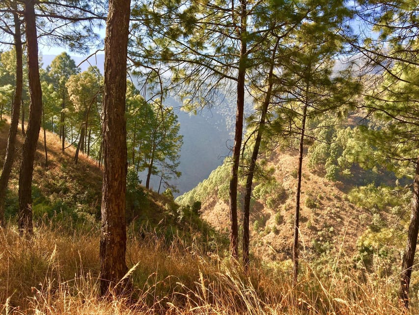 Champa Devi Hill Hike - A Private Hiking Trip - Itinerary Details