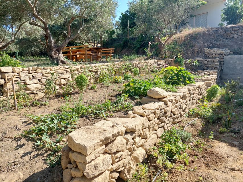 Chania: 5-Wine Tasting With Locals in Village Near Kissamos - Winemakers and Varietals