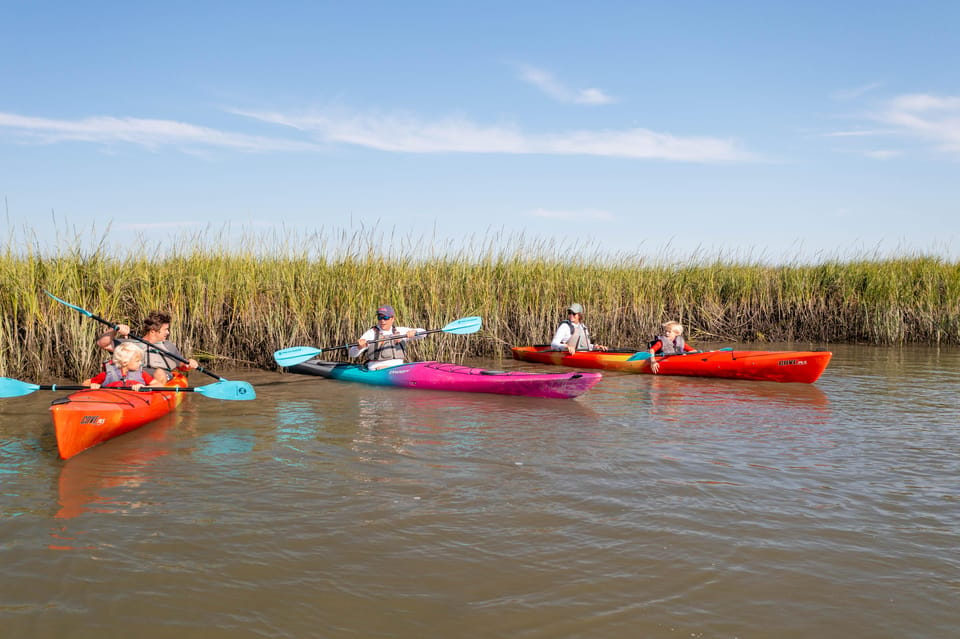 Charleston: Folly Beach Afternoon Kayak Dolphin Safari - Included in the Tour