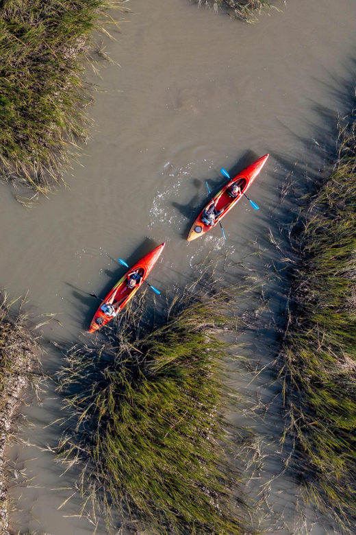 Charleston: Folly Beach Kayak Dolphin Safari - Kayaking Instruction and Techniques