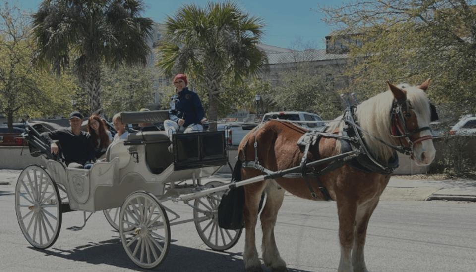 Charleston: Private Haunted History Carriage Ride - Tips for an Enjoyable Experience