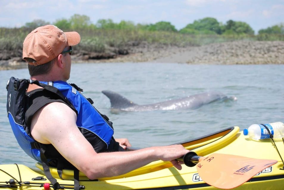 Charleston: Tandem or Single Kayak Tour With a Guide - Participant Requirements