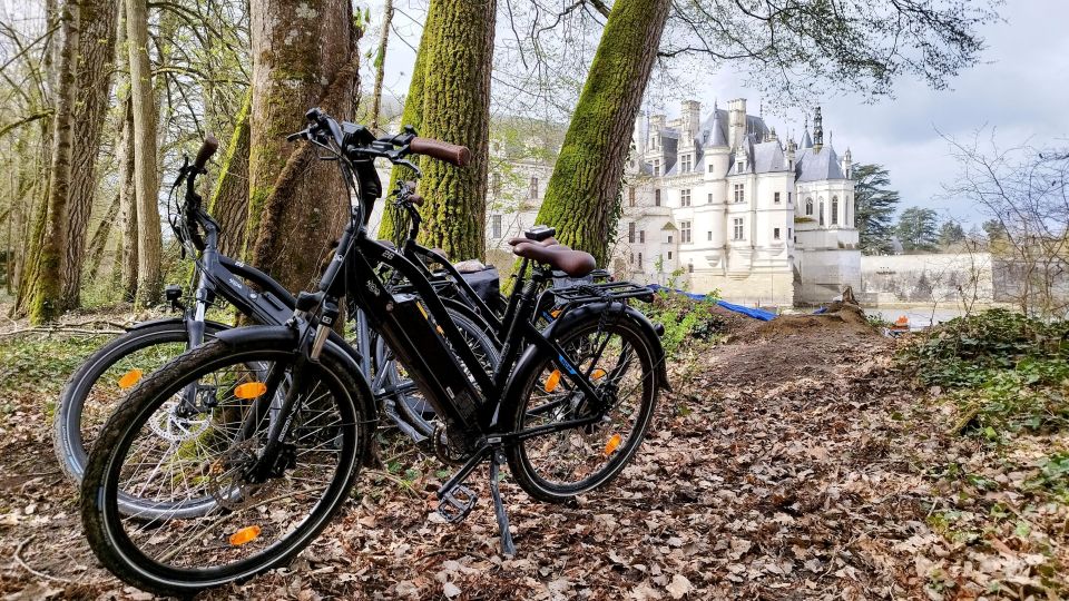 Chenonceau: Guided Ebike Ride and Wine & Cheese Picnic Lunch - Gastronomic Delights