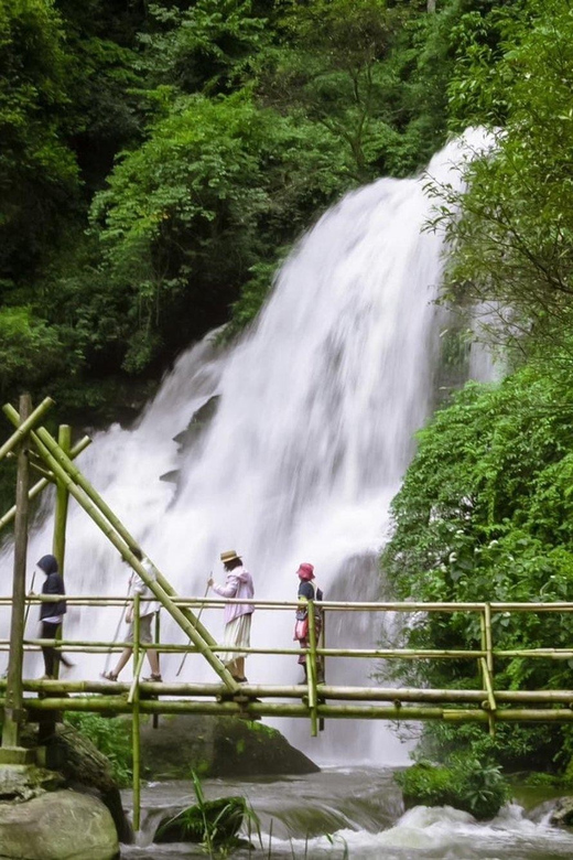 Chiang Mai: Doi Inthanon National Park & Elephant Sanctuary - Cultural Immersion