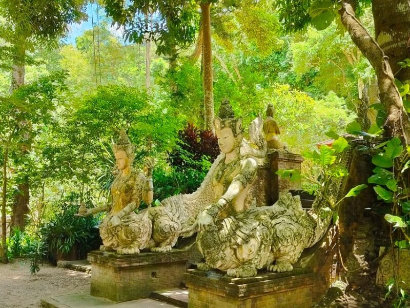 Chiang Mai: Elephant Sanctuary Experience & Doi Suthep Tour - Ethical Elephant Interaction