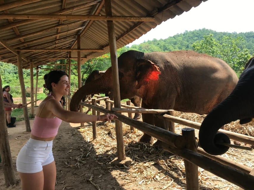 Chiang Mai: Elephant Tour, ATV, Rafting, Waterfall - Inclusions and Amenities