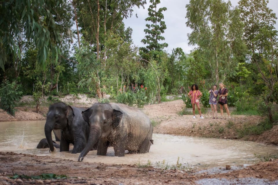 Chiang Mai: Ethical Elephant Encounter Feeding Program - Meeting and Participant Details