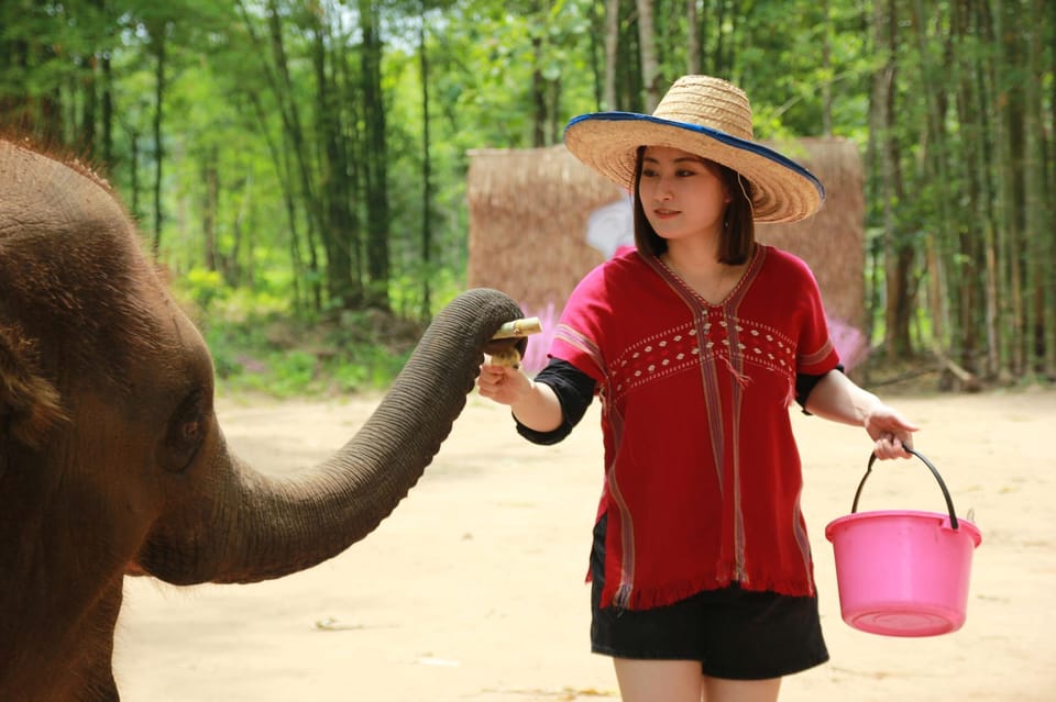 Chiang Mai: Full Day Elephant Eco Park Tour + Bamboo Rafting - Important Notes