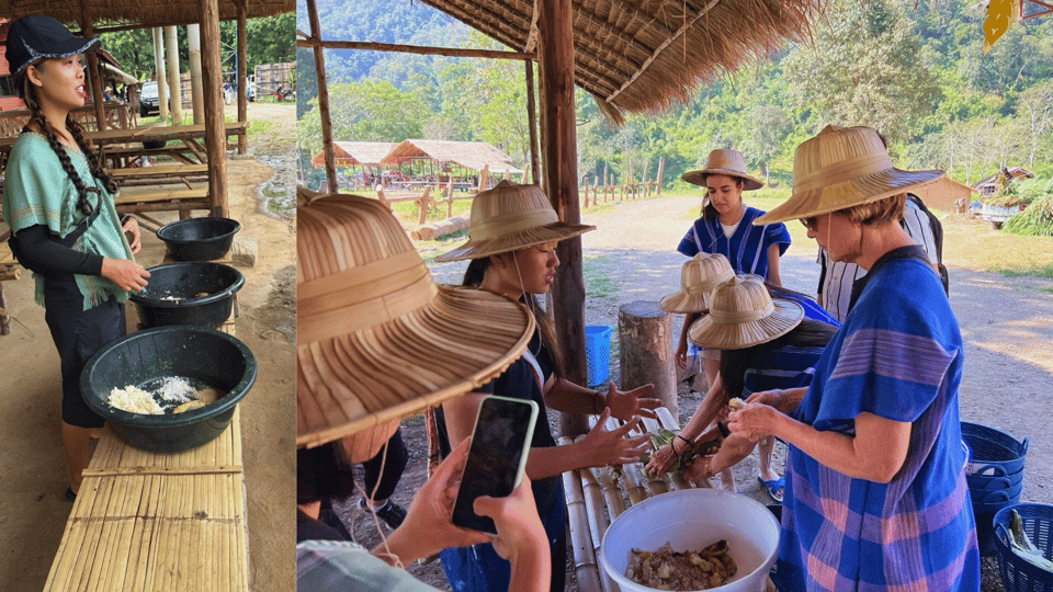 Chiang Mai: Half Day Walking With Giant Elephants - Important Information