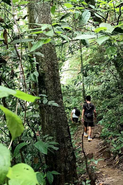 Chiang Mai: Highlight One Day Trekking & Elephant Care - Participant Restrictions