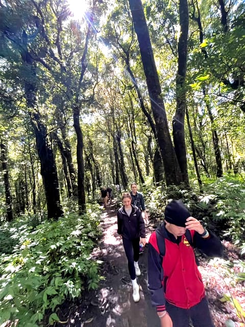 Chiang Mai: Highlight Overnight Stay Trekking Experience - What to Bring and Restrictions