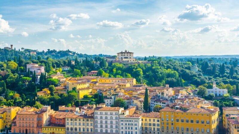 Chianti 2.5-Hour E-Bike Private Tour + Olive Oil and Gelato - Participant Information