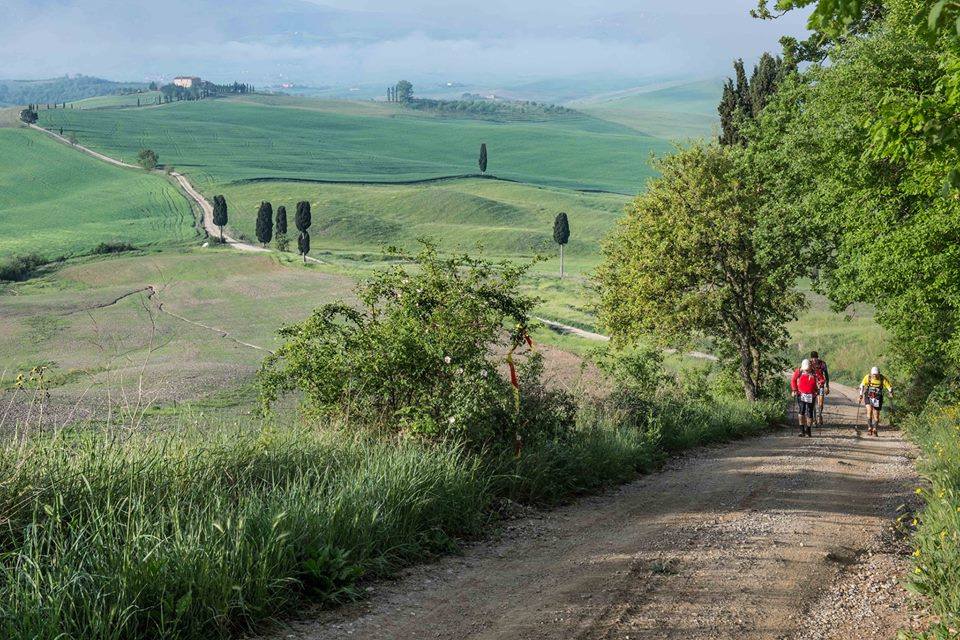 Chianti Half-Day Wine Tour Included Lunch and Tasting (5hrs) - Inclusions and Amenities