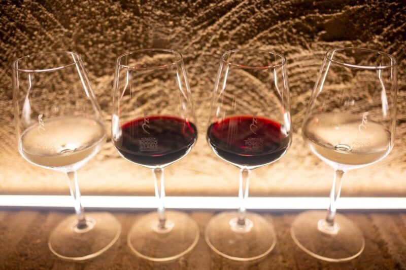 Chianti Lunch With Wine Tasting at Poggio Ai Laghi Winery - Booking Information