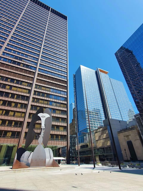 Chicago Downtown Tour - Experience Details