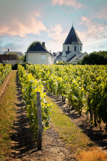 Chinon: Prestige Tours and Wine Tasting - Included Activities