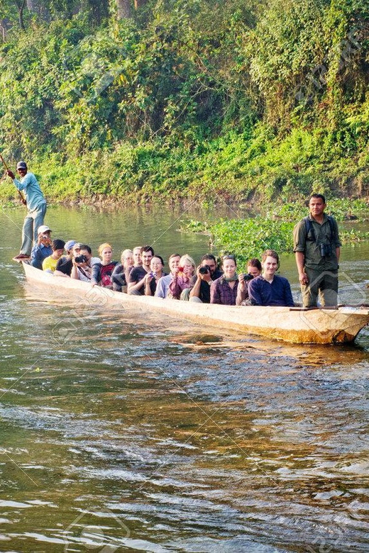 Chitwan Day Tour ( Canoeing+Jungle Walk+ Jeep Safari ) - Jungle Walk Experience