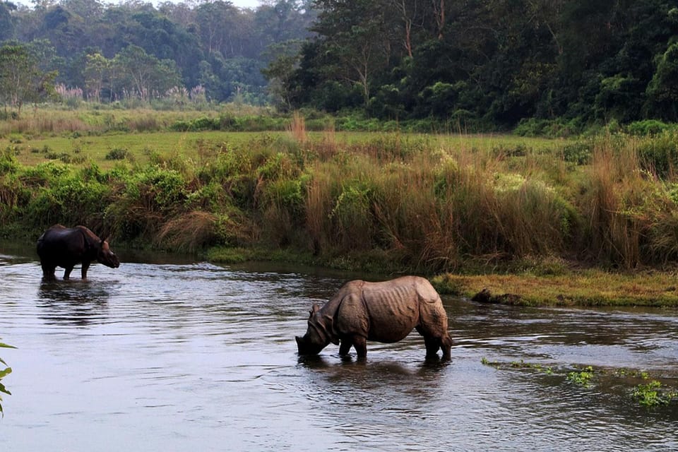 Chitwan National Park Tour With Hotel Transfers - 2N & 3D - Exclusions to Consider