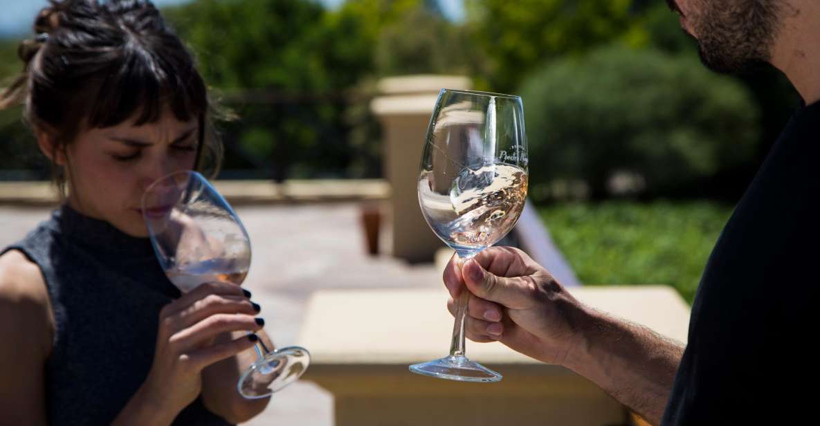 Choose Your Wine Adventure at Uco Valley - Guided Tour Features