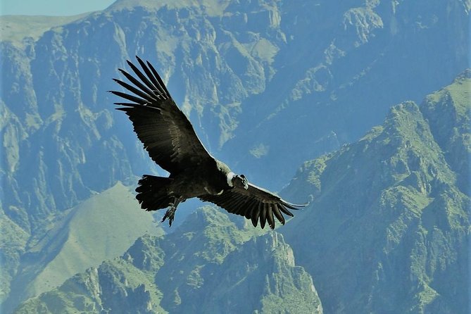 Choquequirao Trek 5 Days and 4 Nights - Accommodation and Meals