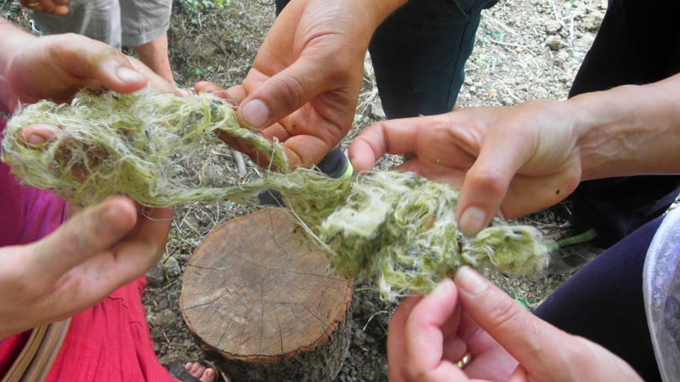 Cilento: Discovering the Art of Broom Spinning in Tortorella - Exploring Tortorellas Culture