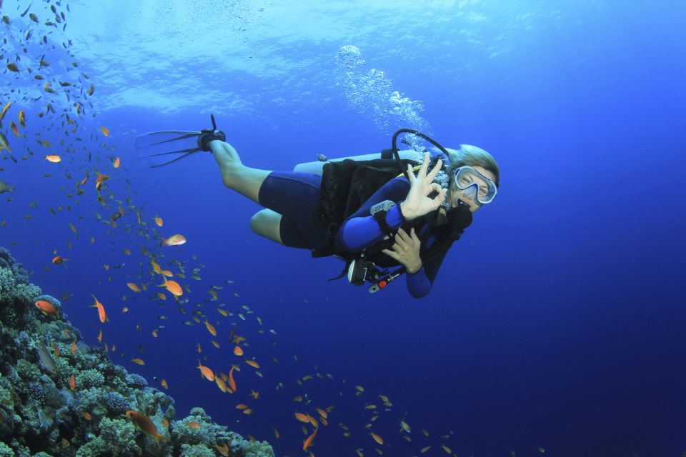 City of Side: Scuba Diving With Pickup, Lunch, and 2 Dives - Customer Ratings