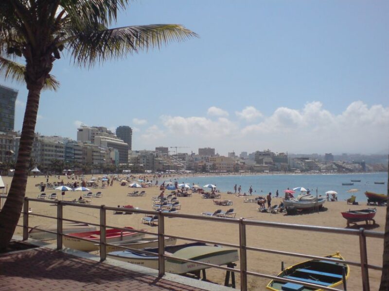 City Treasures Unveiled: 3.5-Hour Las Palmas Taxi and Walkin - Inclusions and Gratuities