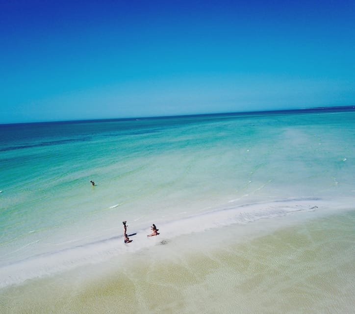 Clearwater Beach: Private Pontoon Tours - Important Information