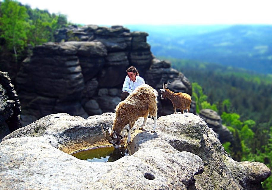 Climb the Mountains Together With Goats - Goat Behavior Observation