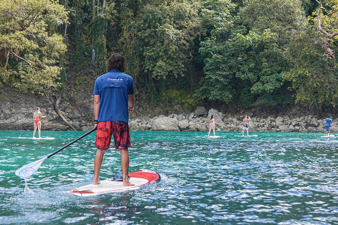 Coastline Paddle Board Tour - Booking and Cancellation Policy
