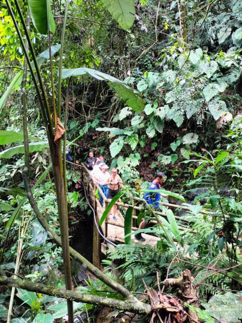 Cocoa Tour - San Rafael Antioquia From Medellín - Participant Feedback