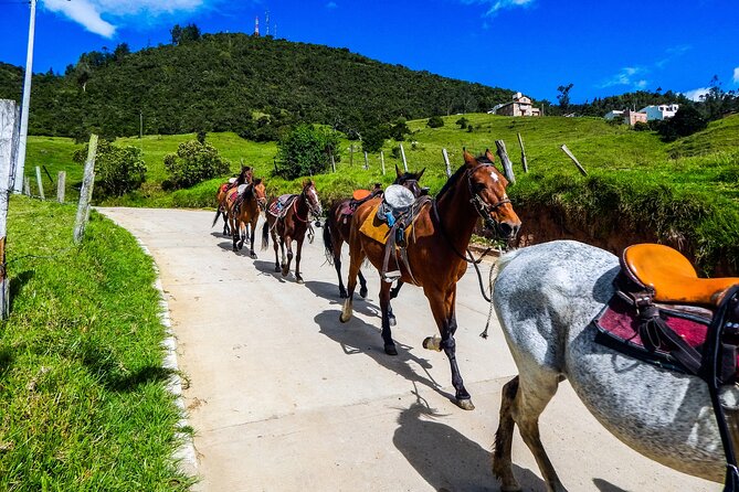 Cocora Valley and Salento Horseback Riding Day Tour - Participant Requirements