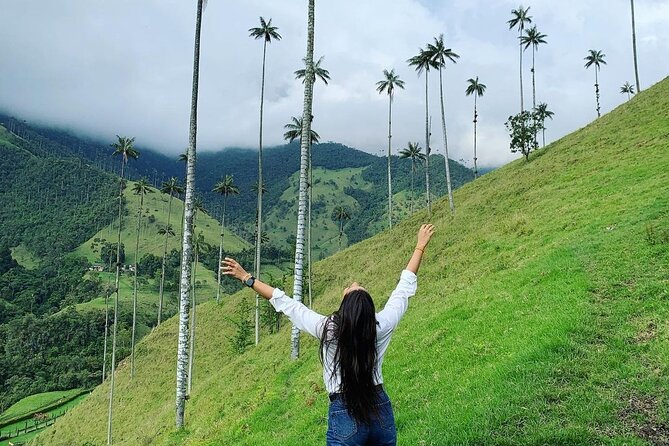 Cocora Valley and Santa Rita Waterfall Tour - Experience Santa Rita Waterfall