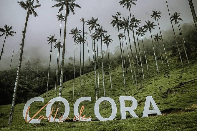 Cocora Valley Tour Hummingbird Circuit - Cocora Valleys Natural Wonders