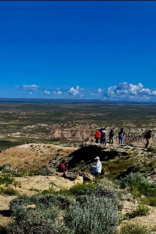 Cody: Red Canyon Wild Mustang Tour - Preparation and Requirements