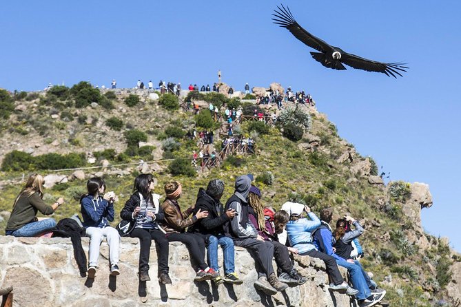 Colca 2 Days and 1 Night - Day 2 Itinerary