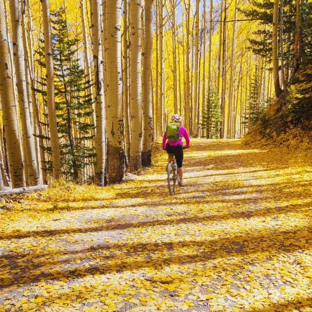 Colorado: Shuttled Mountain Bike Ride on Peaks Trail - Participant Guidelines