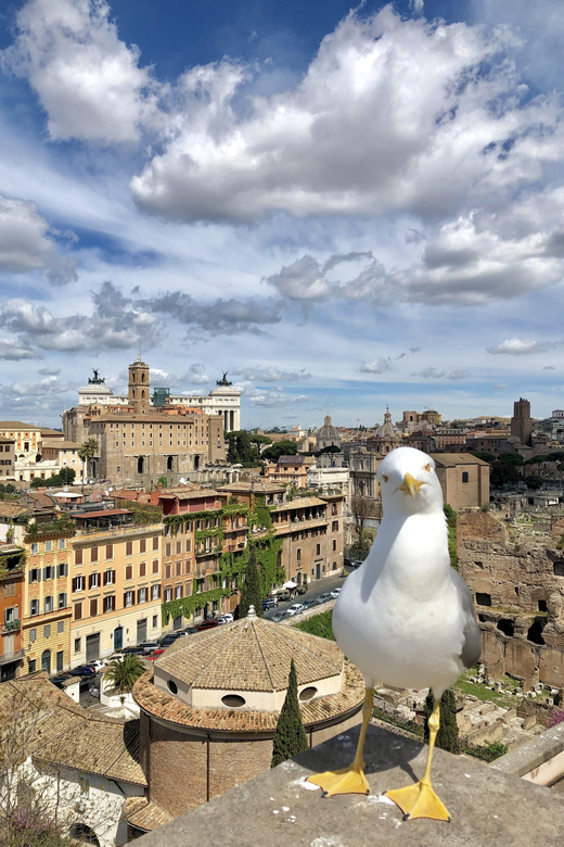 Colosseum and Roman Forum With Skip the Line Ticket - Experience and Learning