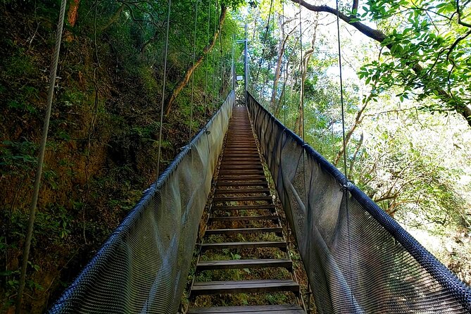 Combo Waterfall and Hot Springs at Rincon De La Vieja Volcano - Traveler Feedback and Ratings