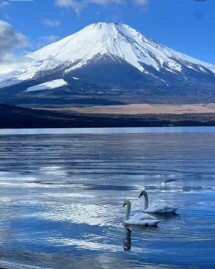 Comfortable Tour in Mount Fuji - Language Services Offered