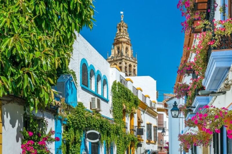 Córdoba: Private Mosque-Cathedral and City Tour - Inclusions