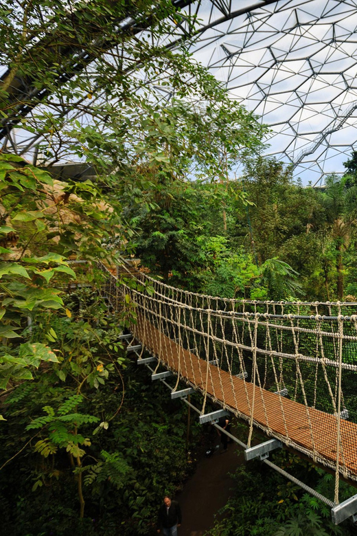 Cornwall: Eden Project Entry Ticket - Visitor Feedback