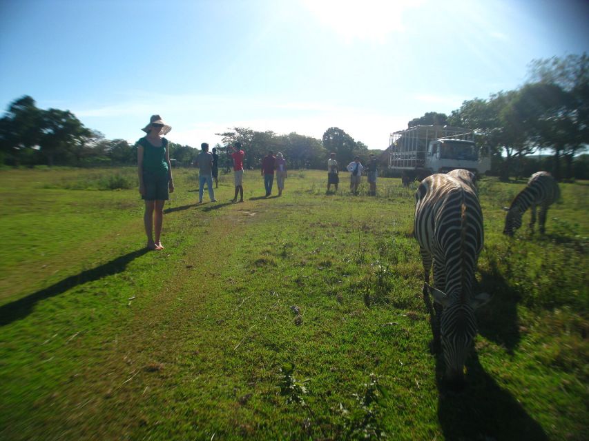 Coron: Calauit Safari Adventure - Observe Local Fauna