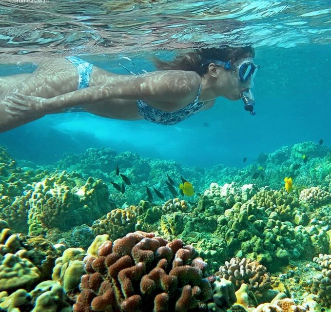 Coron Private Tour B: Barracuda Lake and Smith Beach - Customer Feedback