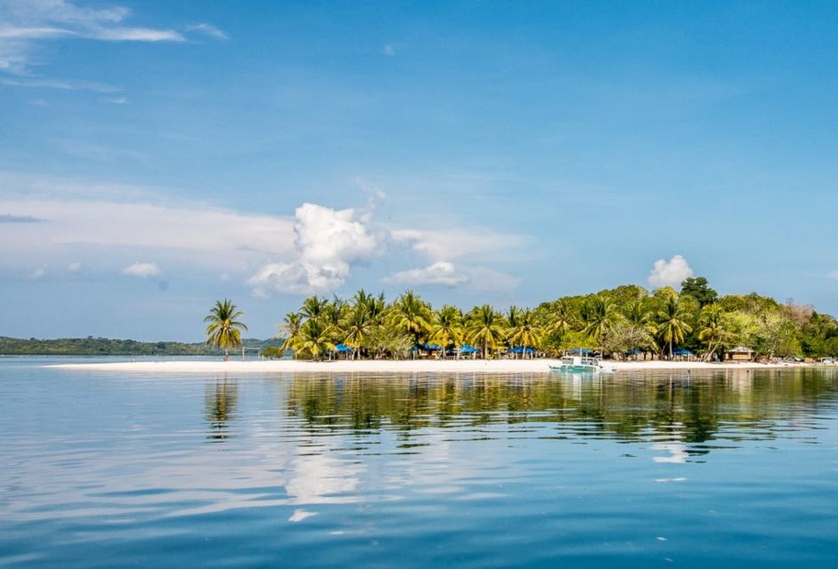 Coron Private Tour D: Reef and Wrecks - Shipwreck Exploration Opportunities