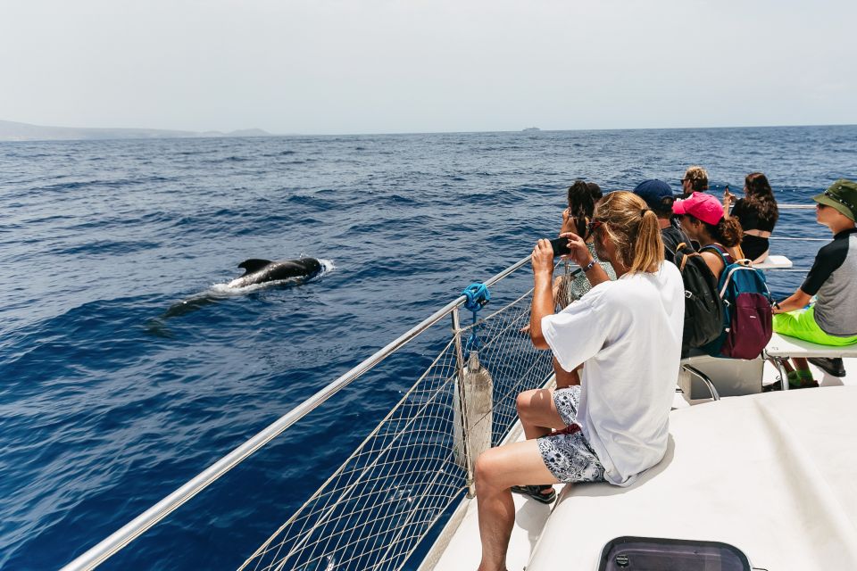 Costa Adeje: Whale Watching Catamaran Tour With Drinks - Safety and Environmental Considerations